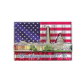 Washington DC USA Flag Magnet